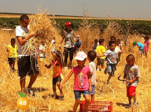 jamahery mokhayammm (21).jpg